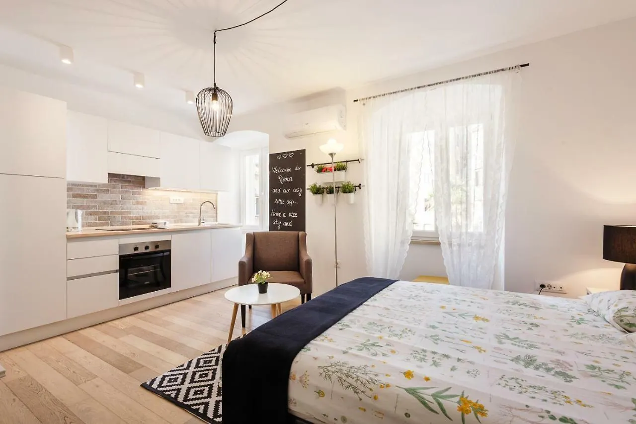 Central Rijeka Apartments CIOTTINA 24 Kroatië